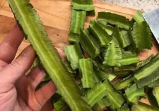 Earth to Table: Winged Bean